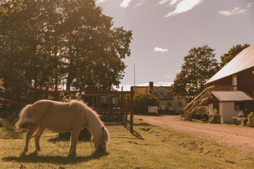 Toric Farmlodge