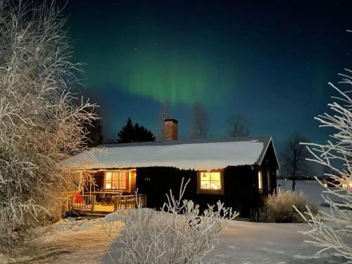 Mysig stuga nära fjällen och Storsjön